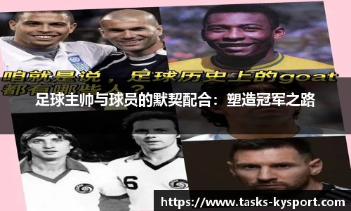 开云体育官网